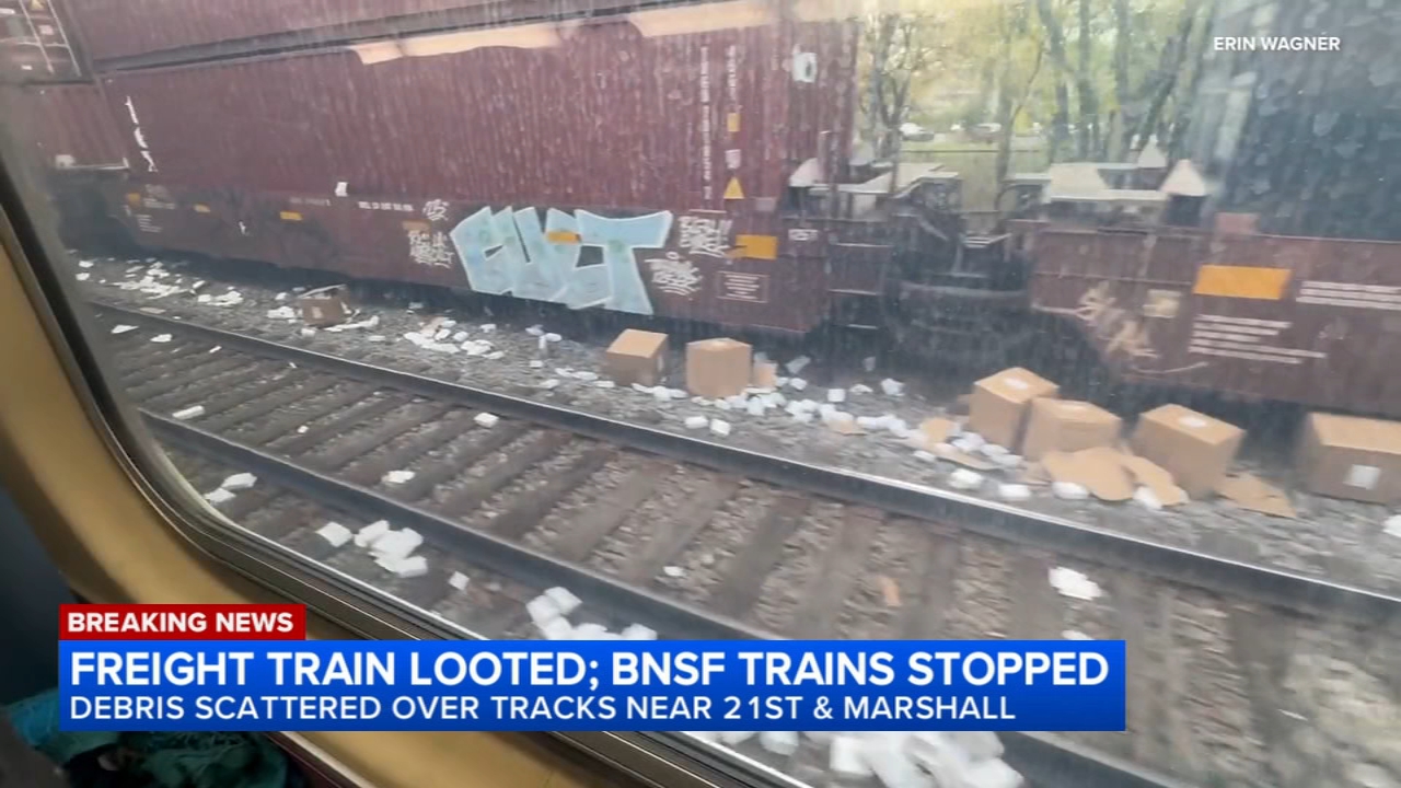 Freight train looted on West Side; BNSF services delayed, Metra says
— Deerfield Community news