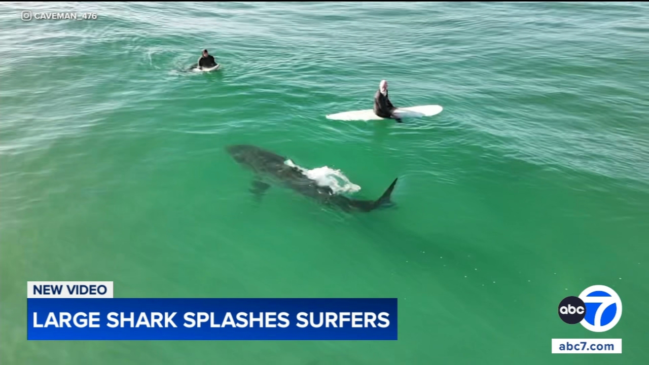 Shark swims near surfers, splashes one with its tail in close encounter off California coast, video shows
— Deerfield Sports news